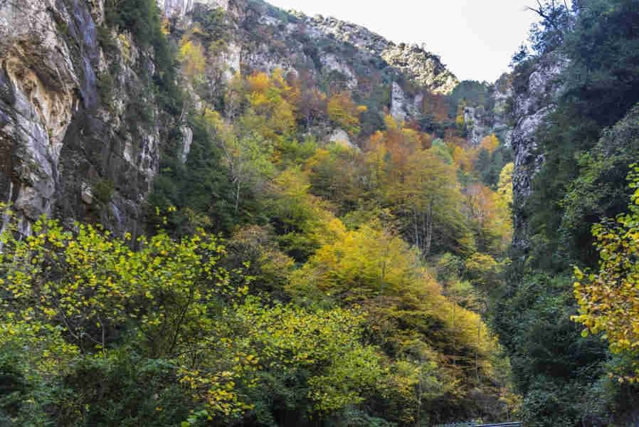 Huesca - parque nacional de Ordesa y Monte Perdido - valle de Añisclo 15 - cañon de Añisclo - desfiladero de las Cambras.jpg